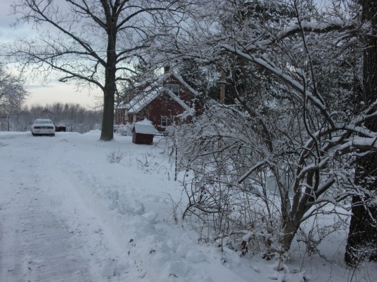 looking north